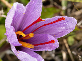_DSF4787_web.jpg