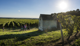 _DSC8168-Panorama-Modifier.jpg