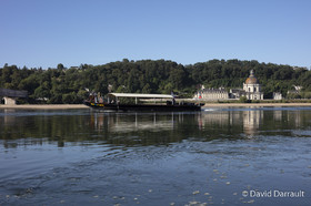 _D008228.jpg