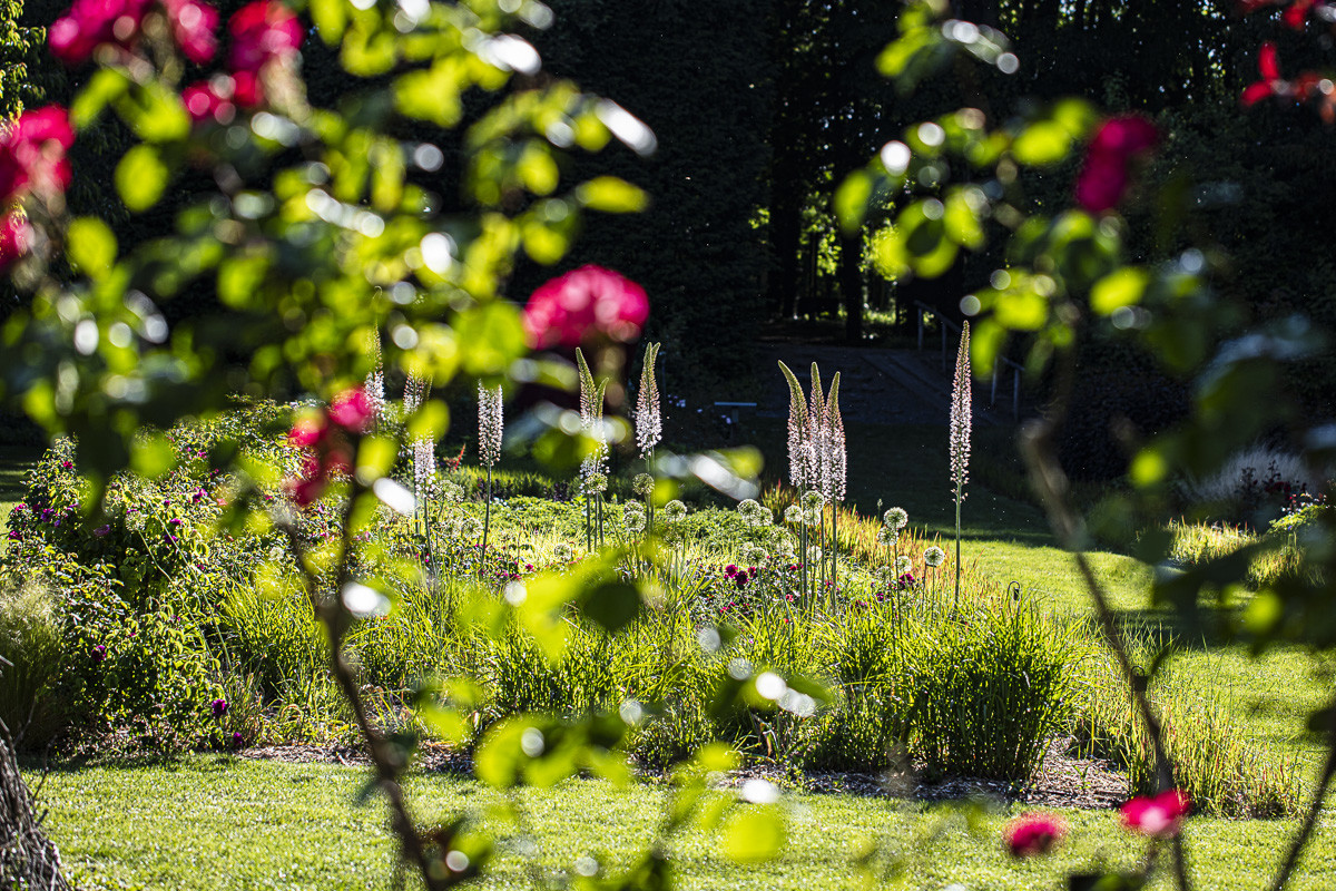 Fête des roses château du Rivau