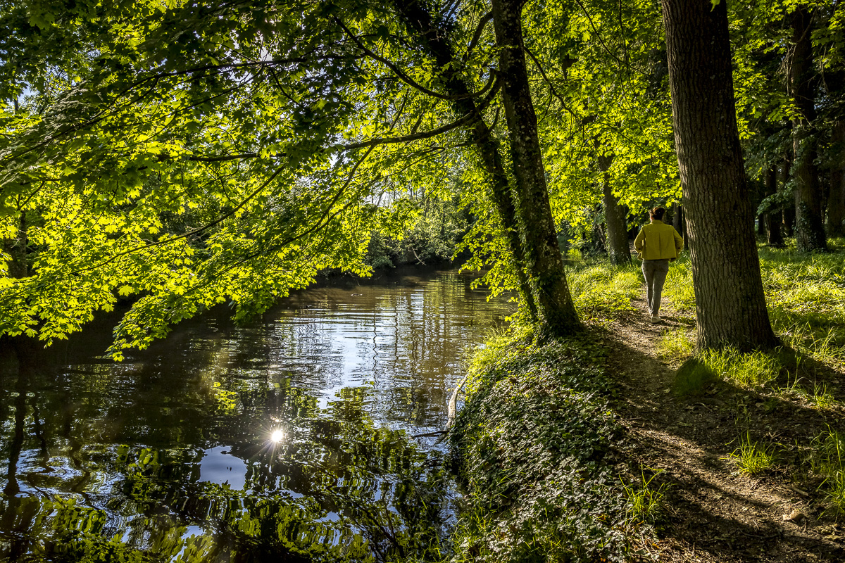 _H6A7695_web.jpg