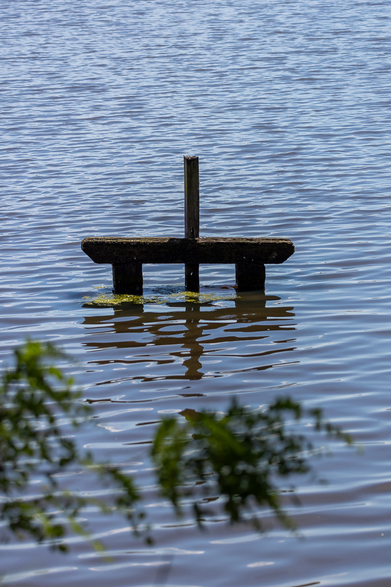 _H6A7982.jpg