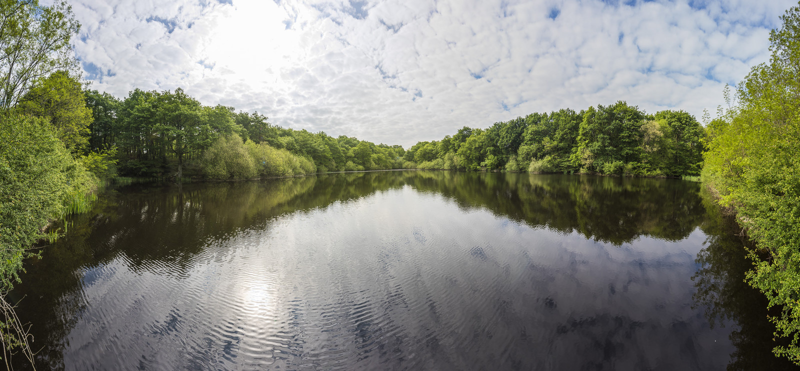 _DSC7359-Panorama.jpg