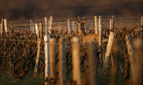 _AR_6638_DxO-Modifier_web.jpg