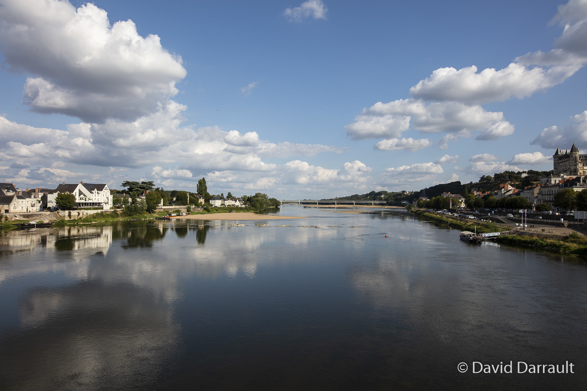 _D008835.jpg