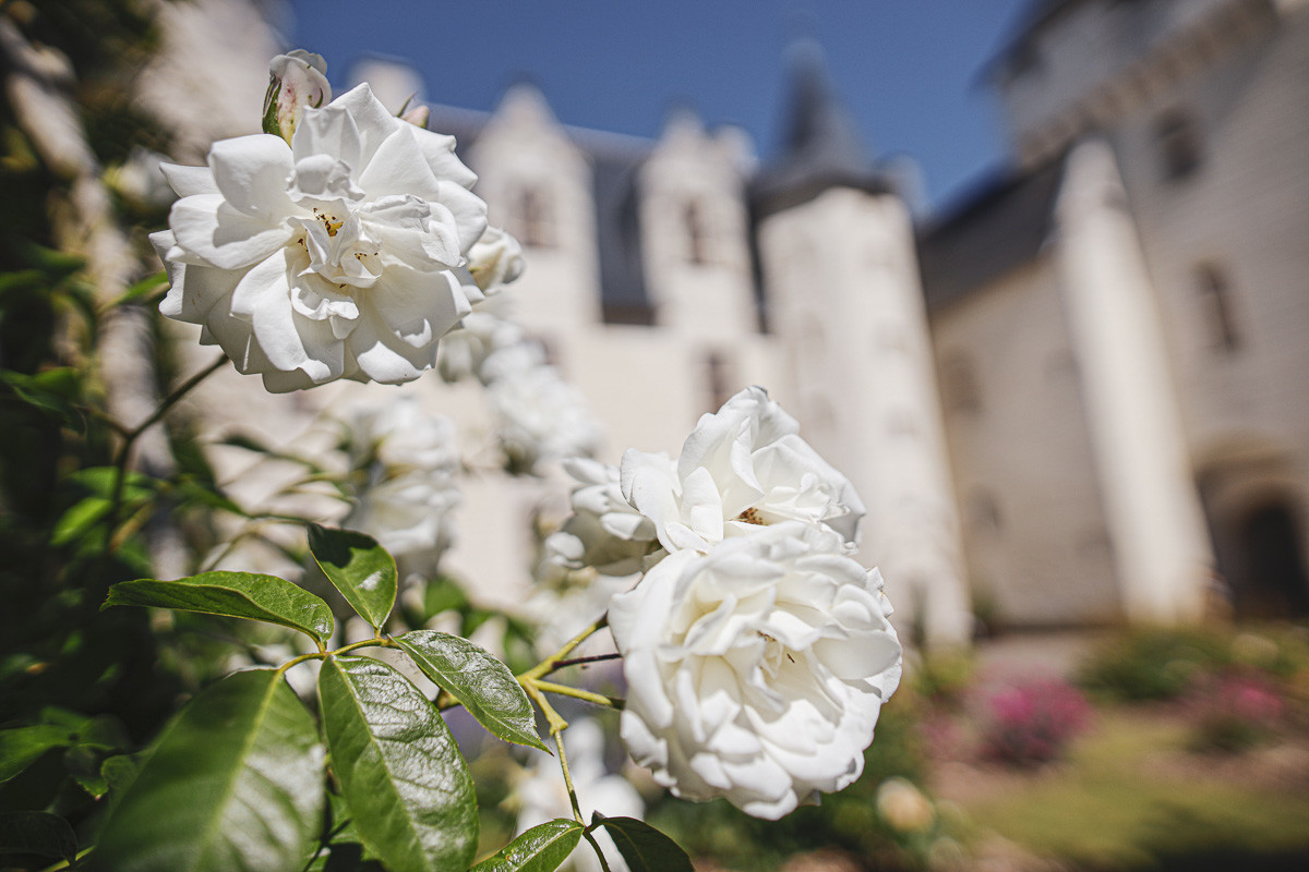 Fête des roses château du Rivau