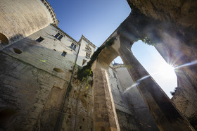 _D009547.jpg