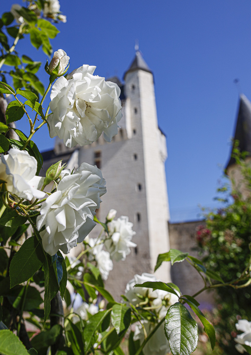 Fête des roses château du Rivau