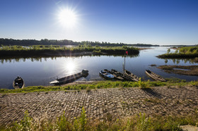 _D003773.jpg