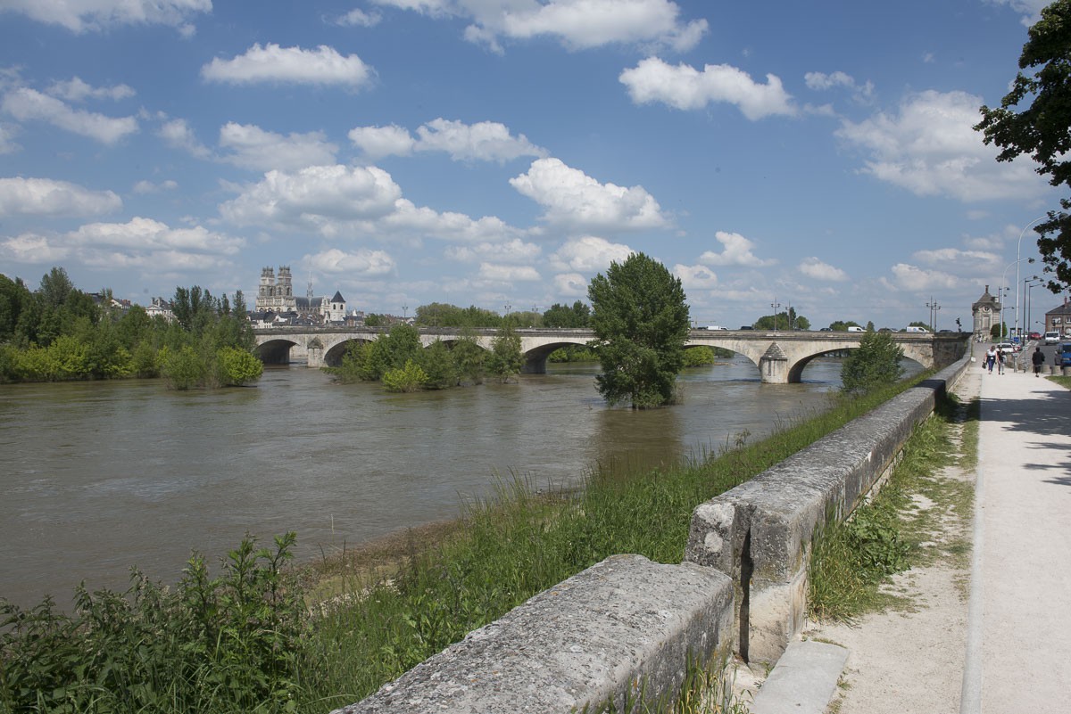 _D803147.jpg