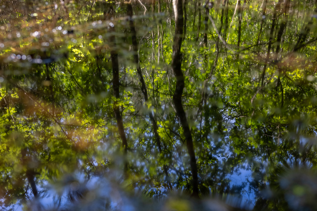 _H6A7959.jpg