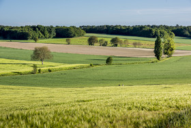 _DSC3395_web.jpg