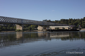 _D008236.jpg