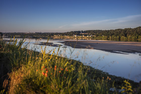 _D003693.jpg
