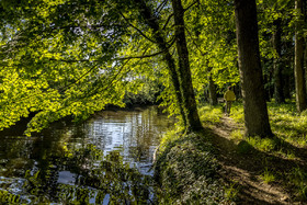_H6A7699_web.jpg