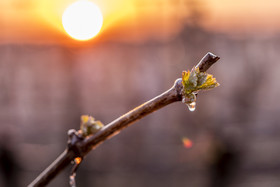 _AR_9847_web.jpg