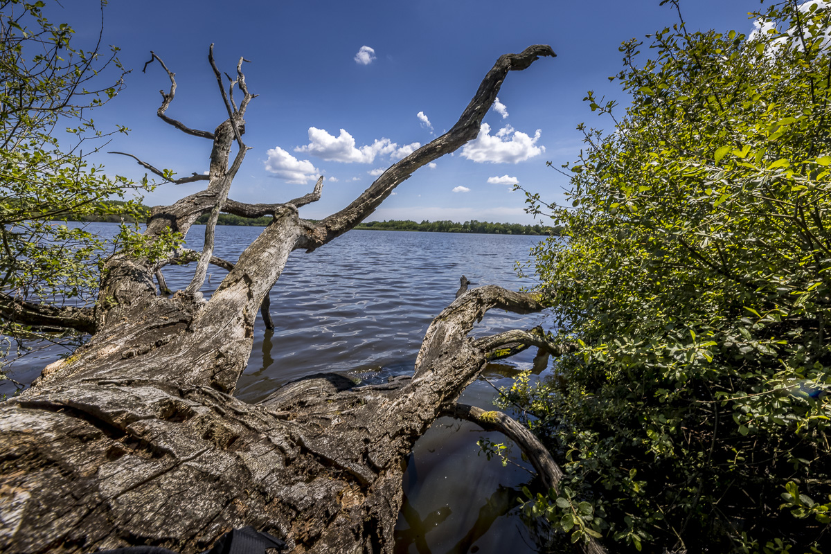 _H6A8090_web.jpg
