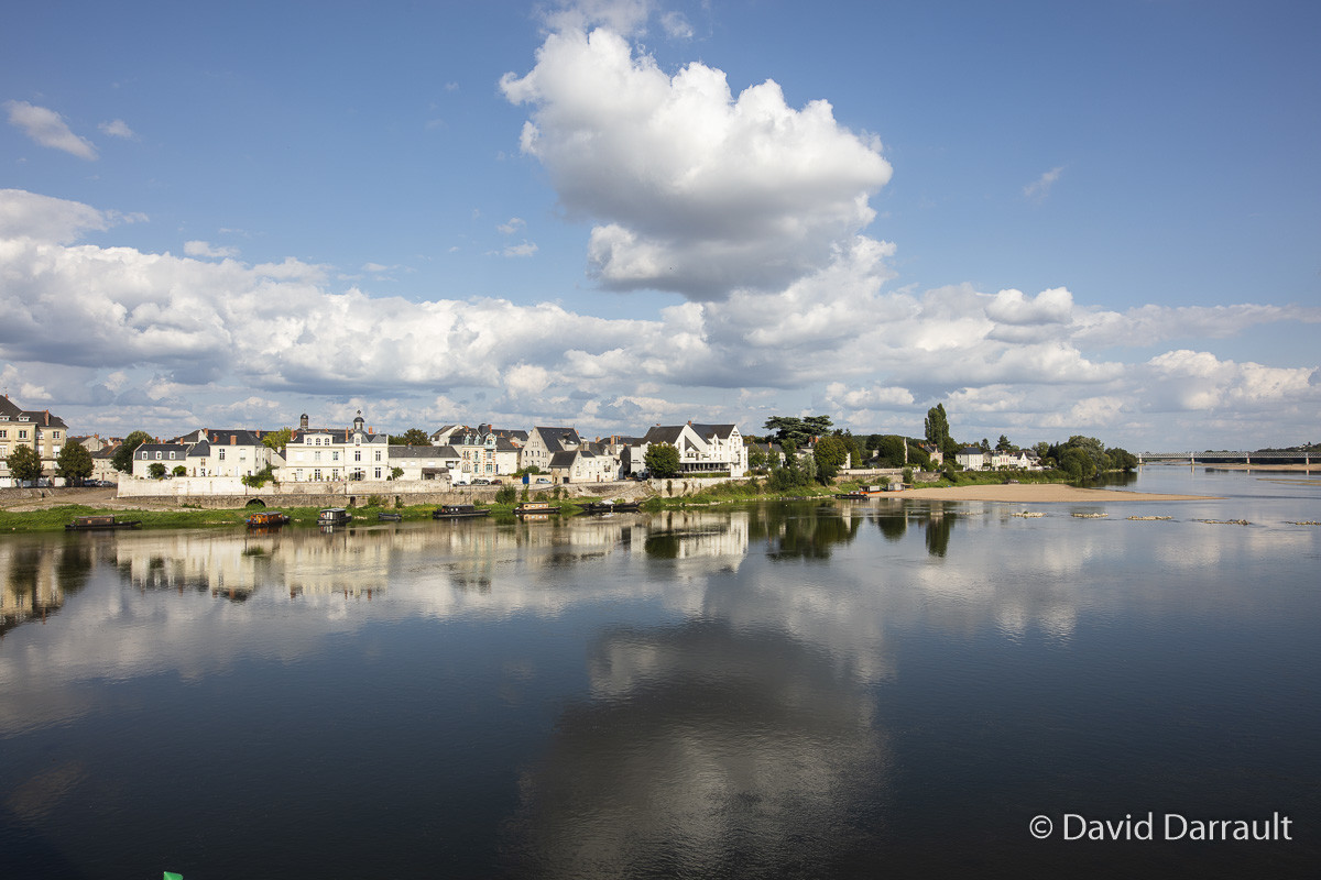_D008834.jpg