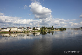 _D008831.jpg