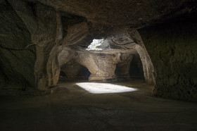 _D806408.jpg