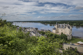 _D803978.jpg