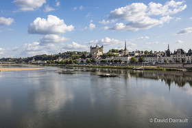 _D008861.jpg
