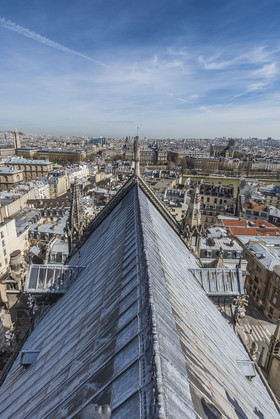 Cathédrale Notre Dame de Paris