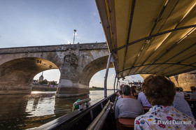 _D008893.jpg