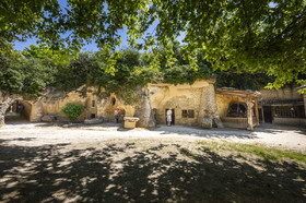 _D004212.jpg