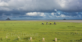 _DSC6183-Panorama.jpg