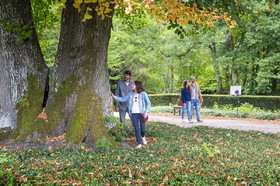 _D001668.jpg