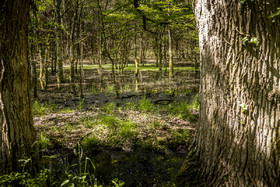 _H6A7907_web.jpg