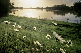 Loire en face de Bréhémont