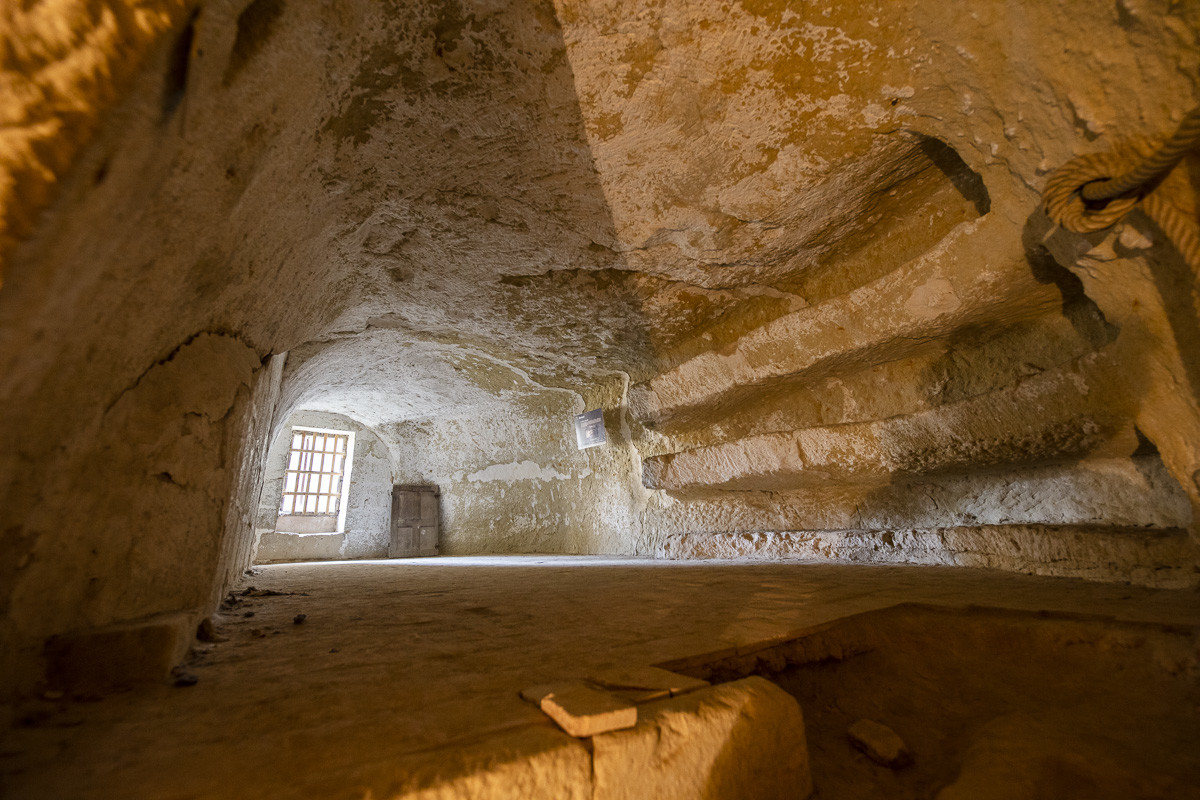_D009538.jpg