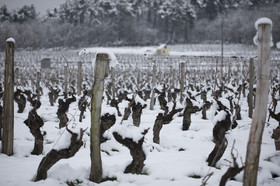 neige en Touraine