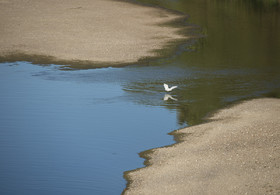 _DSC5882.jpg