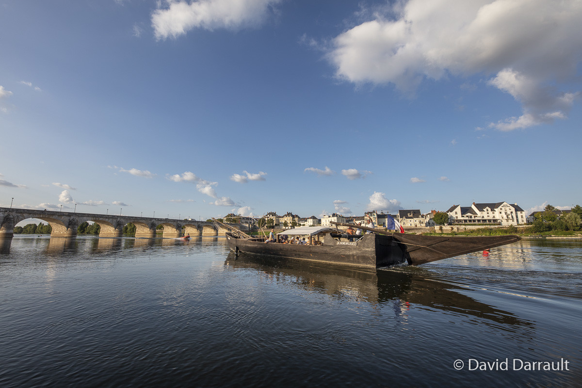 _D008887.jpg