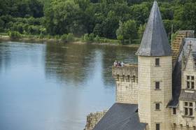 _D803994.jpg