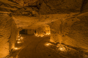 _D806387.jpg