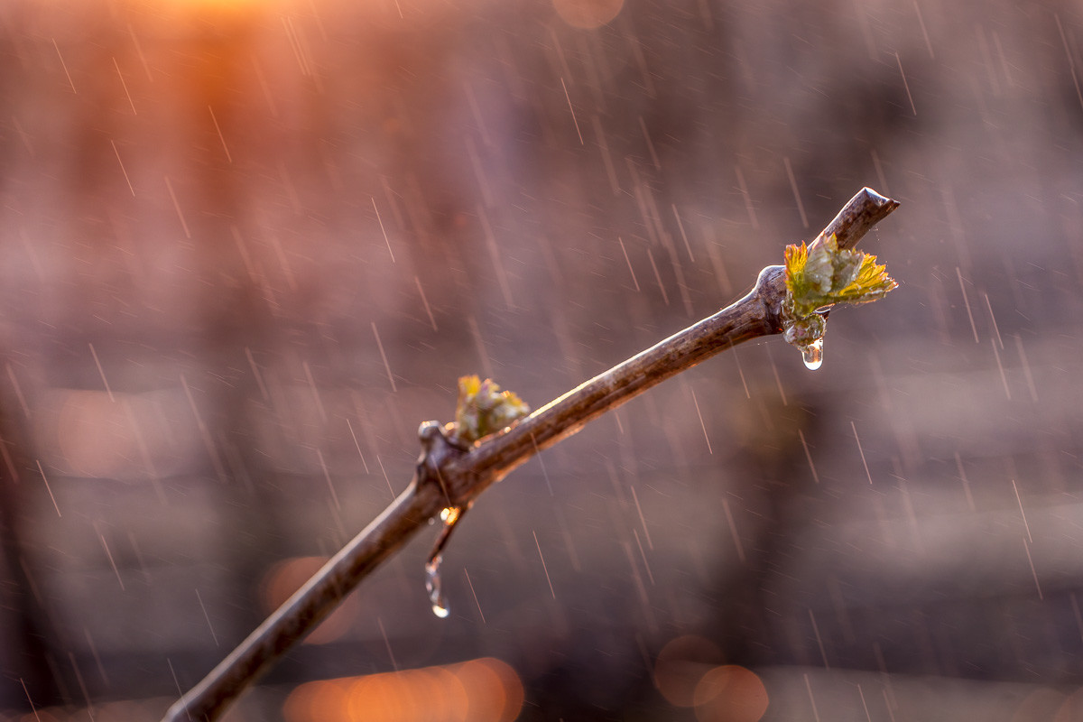 _AR_9853_web.jpg