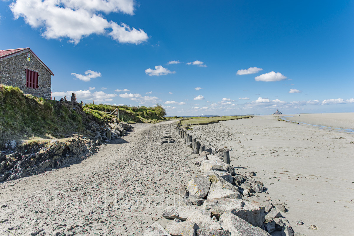 _DSC3510.jpg