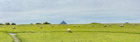 _DSC0019-Panorama.jpg