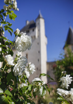 Fête des roses château du Rivau