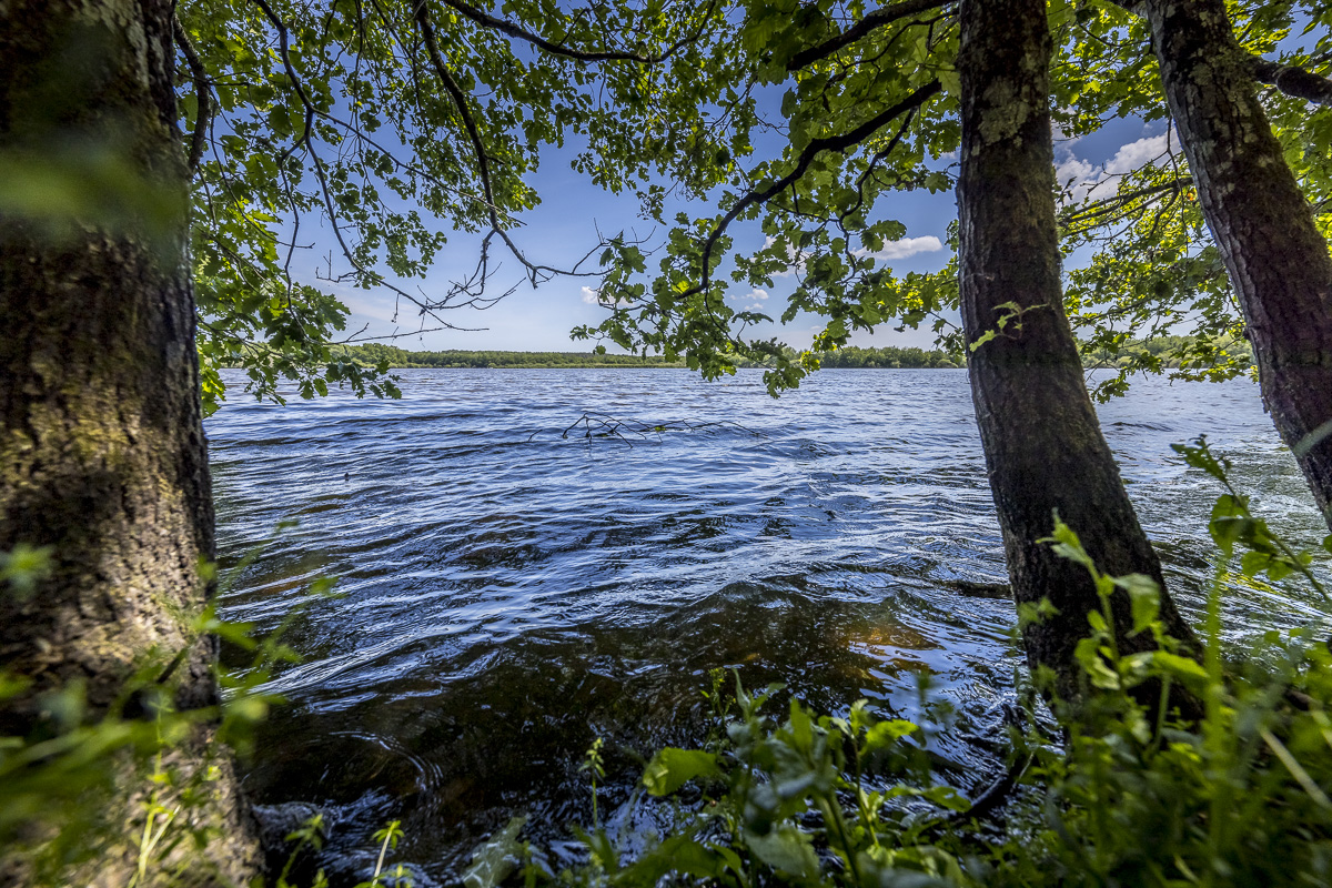 _H6A8062_web.jpg