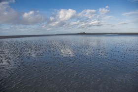_DSC5792.jpg