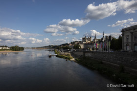 _D008833.jpg