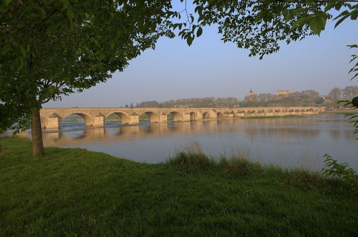 _EGL2235.jpg