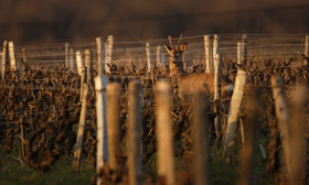 _AR_6638_DxO_web.jpg