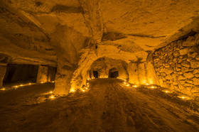 _D806390.jpg
