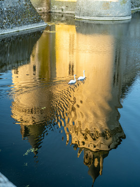 WEB_DSF3326.jpg